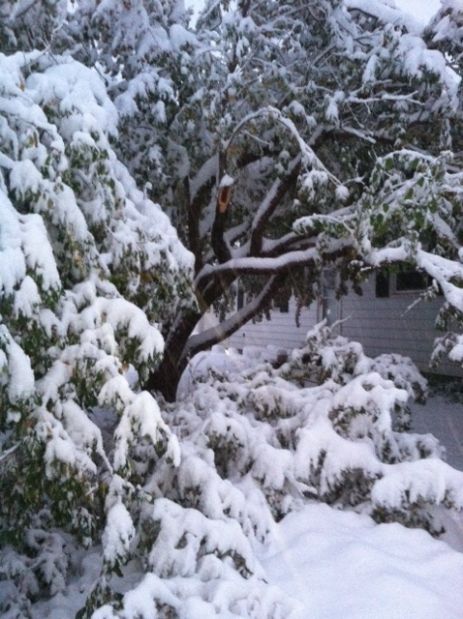 Winter Storm Atlas